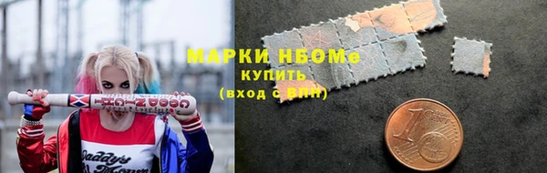 соль ск Пестово