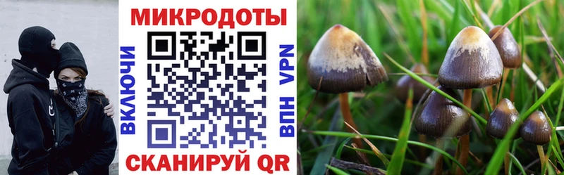 Псилоцибиновые грибы ЛСД  Лобня 